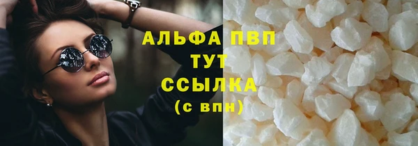 хмурый Абаза