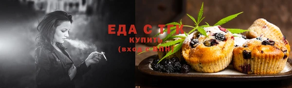хмурый Абаза