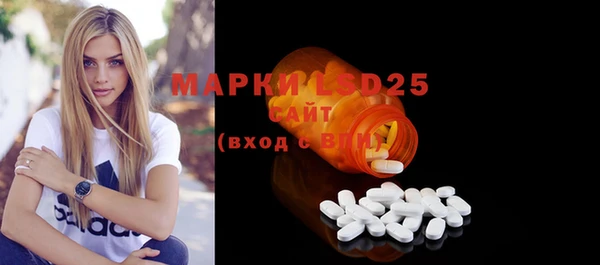 хмурый Абаза