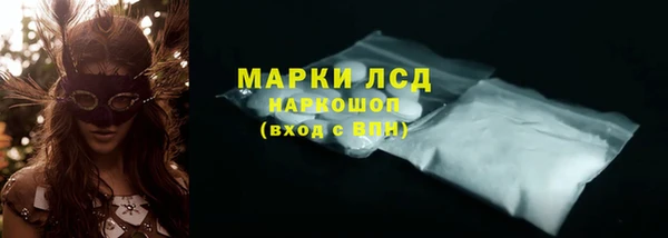 хмурый Абаза