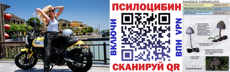 Псилоцибиновые грибы GOLDEN TEACHER  Ак-Довурак 